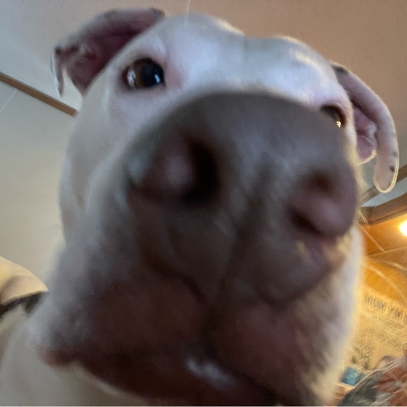 okokokkkkkie